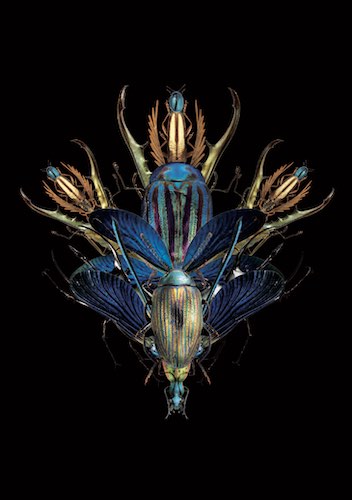 Les tremblements neurogéniques (TRE) ou comment amener les corps traumatisés à l’équilibre.