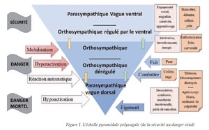 Les scénarios réparateurs.